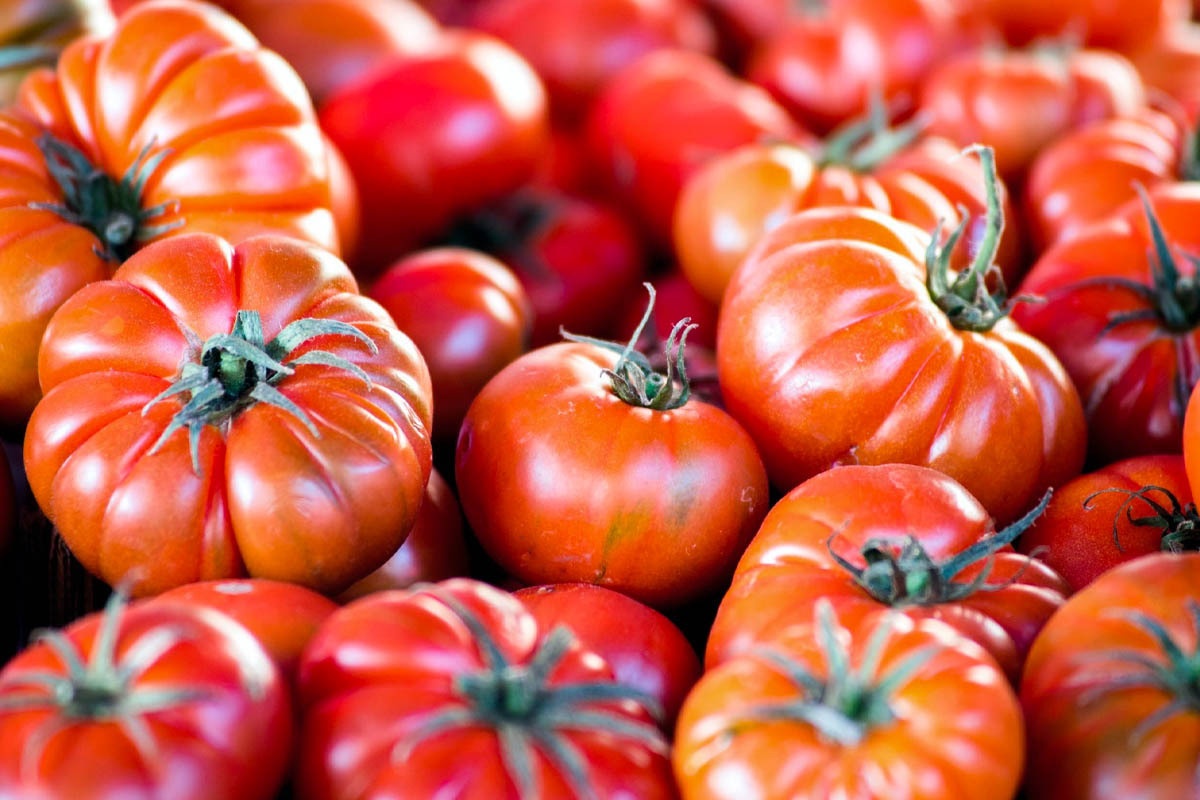Tomatoes from Belmonte: all about the Calabrian vegetable