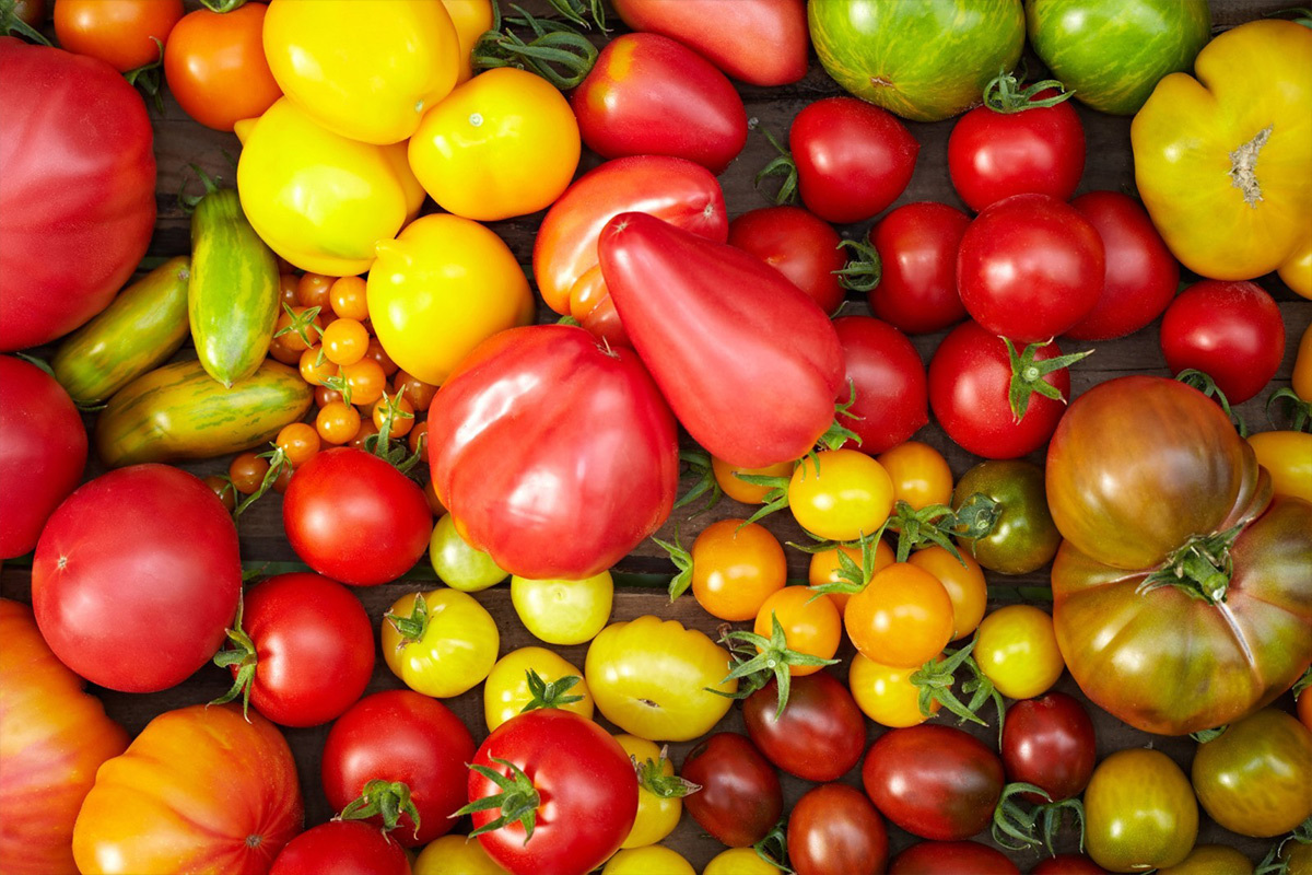 Seasonal vegetables July: tomatoes